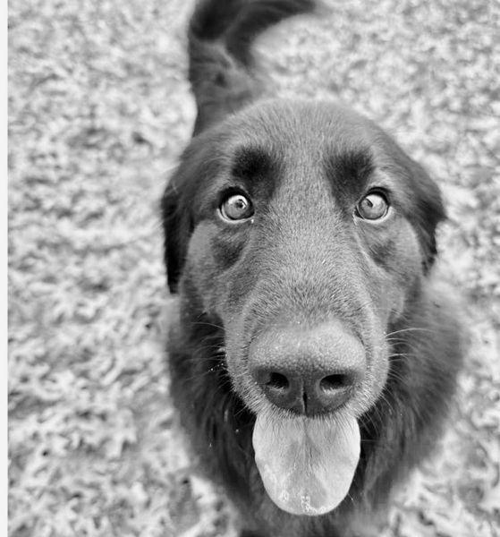 Finley